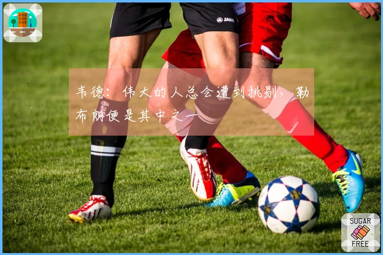 韦德：伟大的人总会遭到挑剔，勒布朗便是其中之一