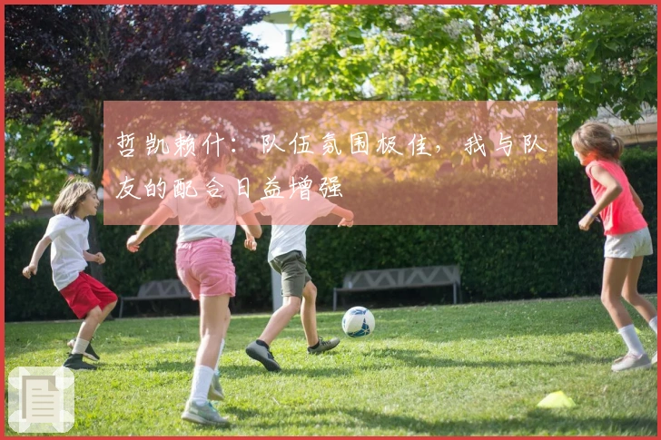 哲凯赖什：队伍氛围极佳，我与队友的配合日益增强
